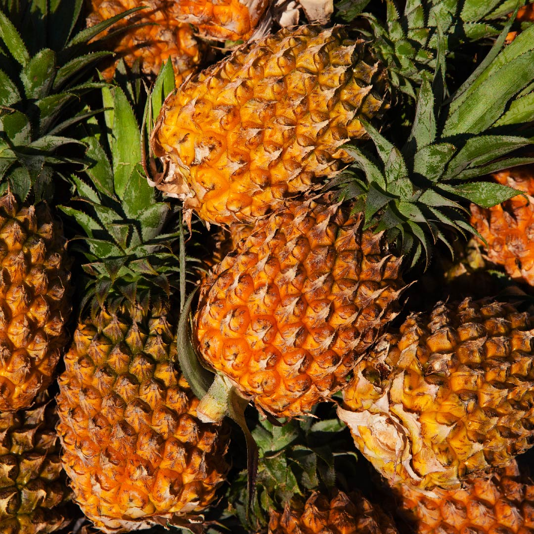 Pineapple image